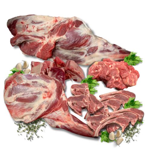 agneau-standard
